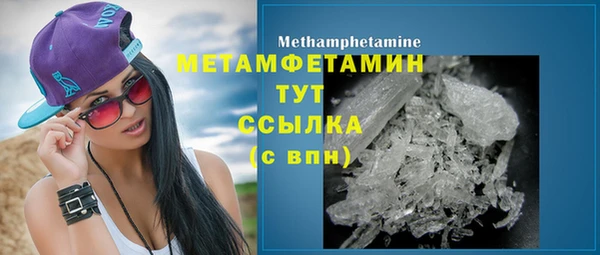apvp Болотное