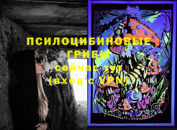 PSILOCYBIN Нея