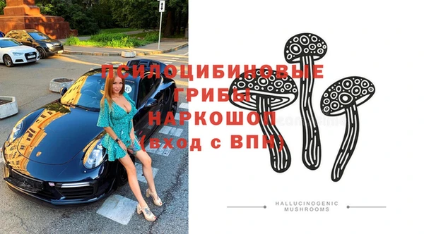 PSILOCYBIN Нея