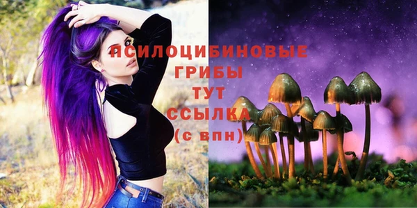 PSILOCYBIN Нея