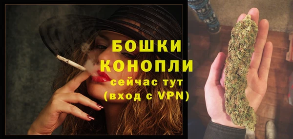 дмт Новодвинск