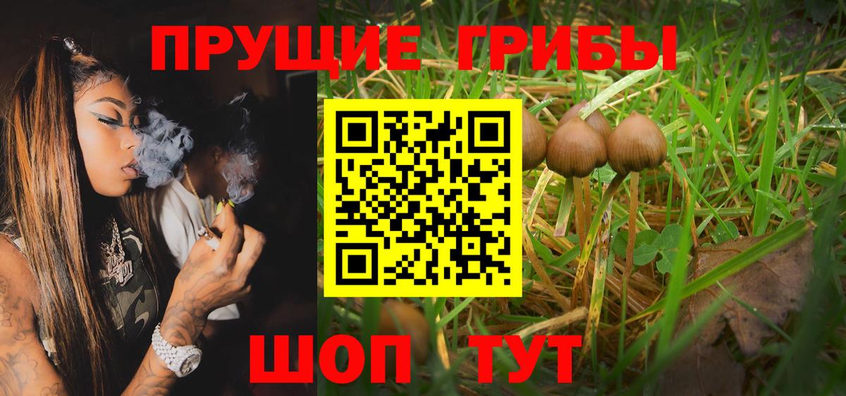 Галлюциногенные грибы GOLDEN TEACHER Красноармейск
