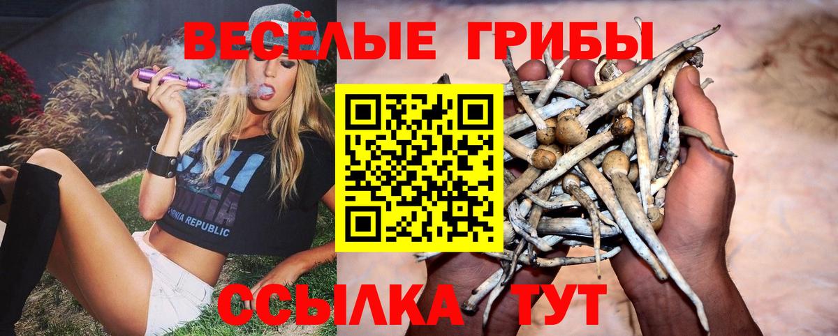 Красноармейск  хочу наркоту  Вход с VPN  Псилоцибиновые грибы Cubensis 